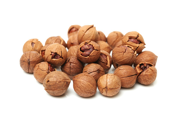 Hickory Nuts
