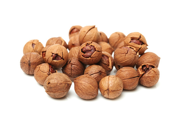 Buy Hickory Nuts
