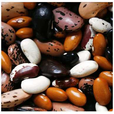 Buy Beans / Lentils