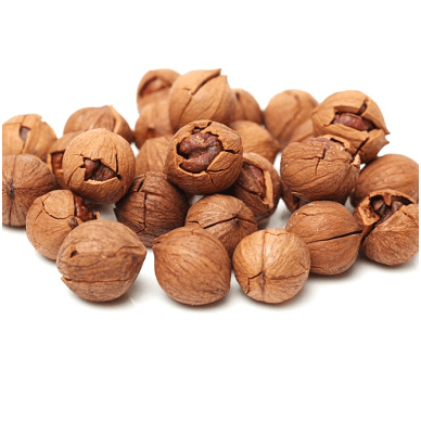 Buy Hickory Nuts