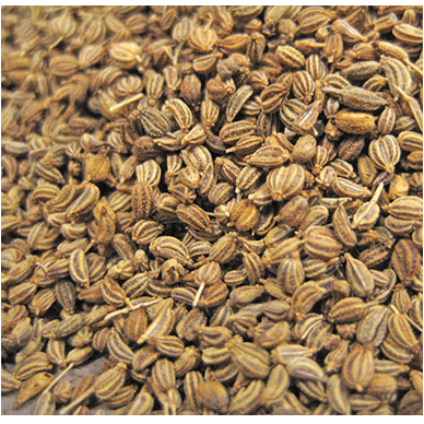 Buy Carom Seeds