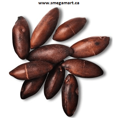 Buy Roasted Baru Nuts Online