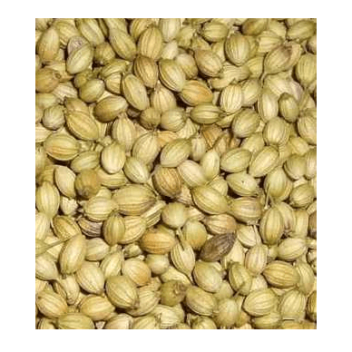 Buy Corriander Seeds Online