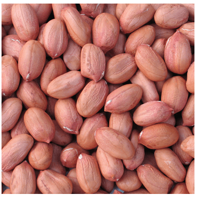 Buy Red Skin Jumbo Raw Peanuts Online