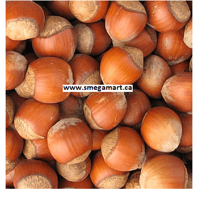 Buy Hazelnuts / Filberts In Shell Online